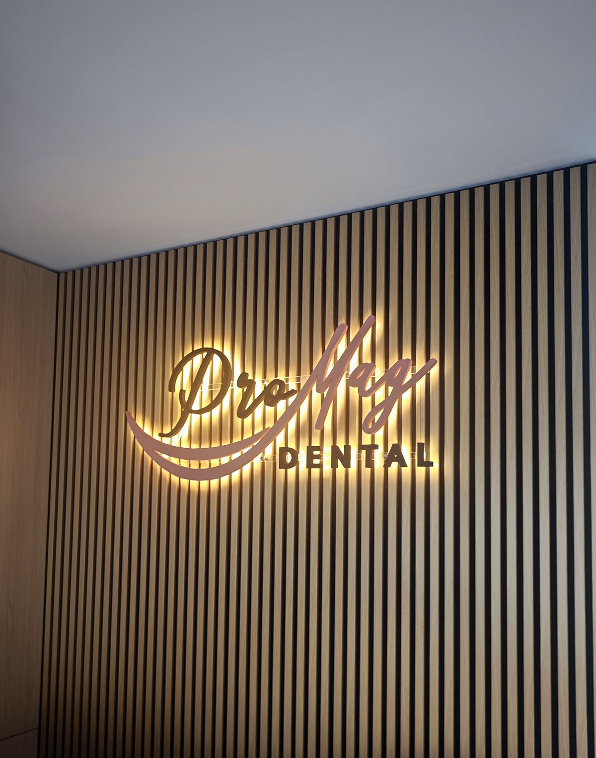 3D písmena ProMag Dental